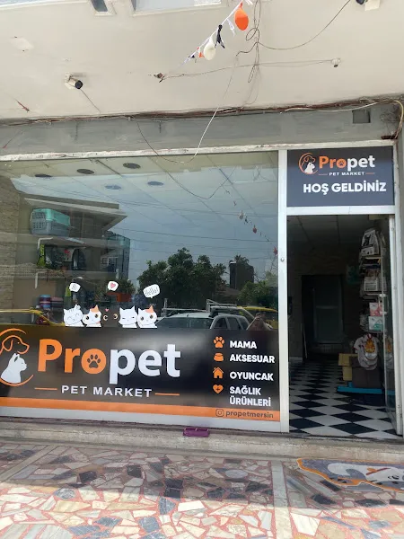 Propet Mersin foto 1