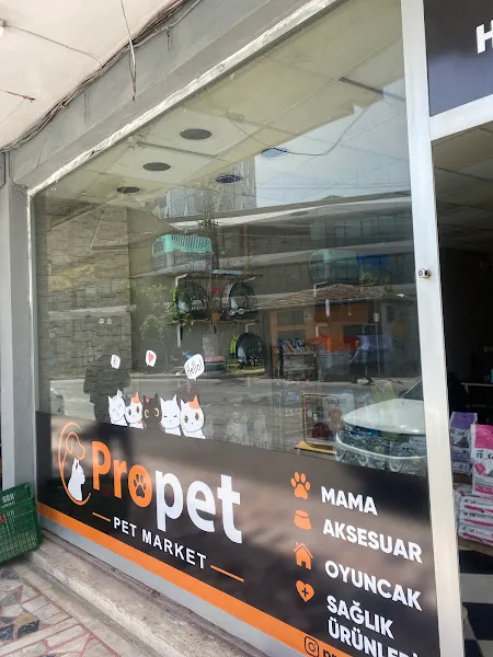 Propet Mersin foto 2
