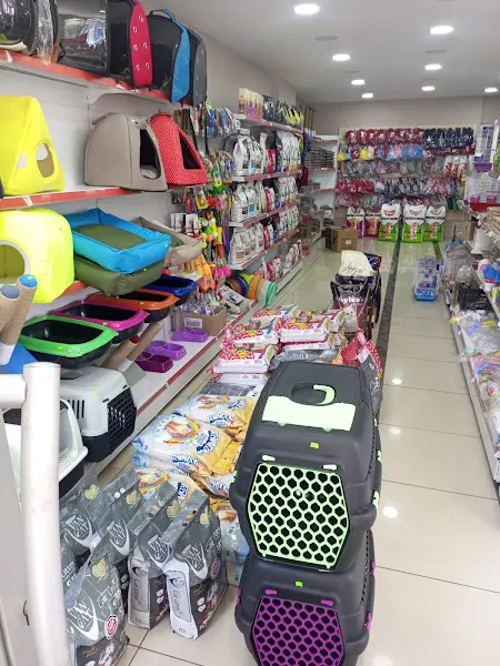 Tweety petshop foto 2