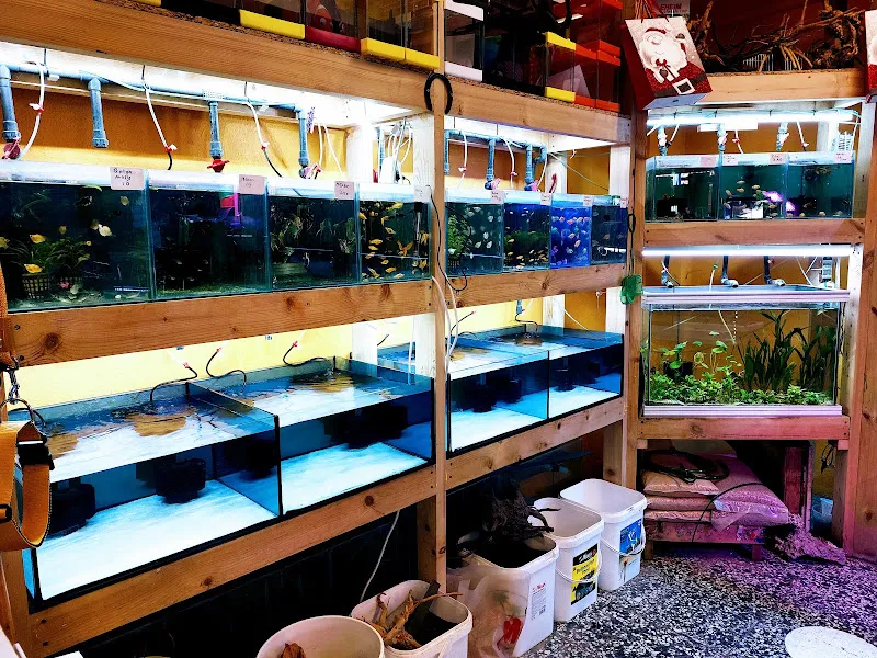 Kıpkıp Akvaryum Petshop foto 2