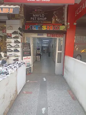 Maylo petshop 2