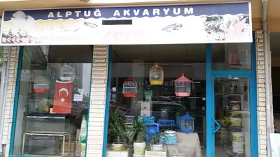 Alptuğ Akvaryum