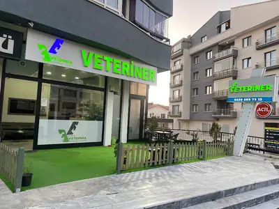 Dikmen Vetophia Veteriner Kliniği