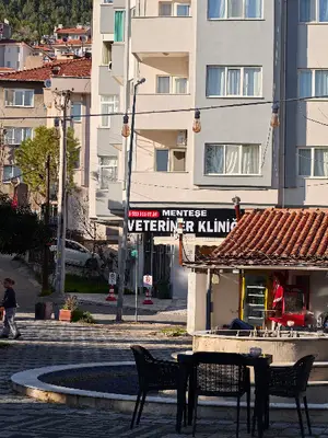 Menteşe Veteriner Kliniği