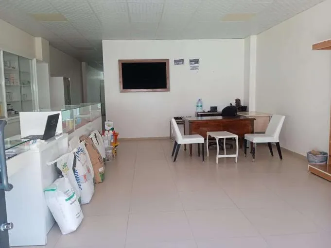 Ay Veteriner Kliniği foto 2