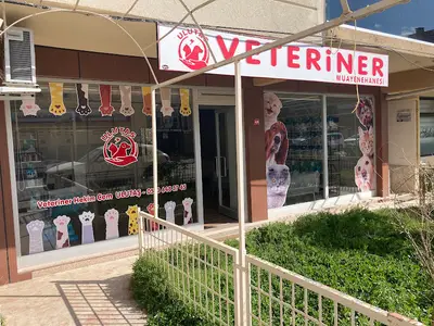 Ulutaş Veteriner Kliniği