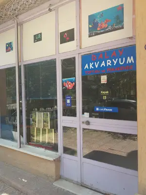 Dalay Akvaryum Toptan Ve Perakende