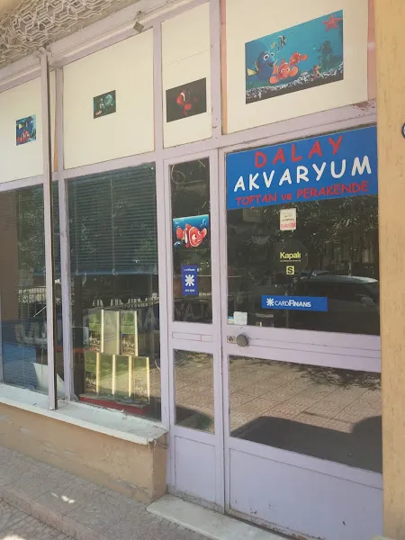 Dalay Akvaryum Toptan Ve Perakende foto 1