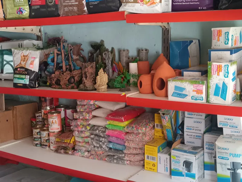 YALÇIN PETSHOP foto 2