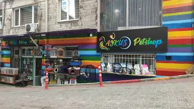 AYKUŞ PETSHOP