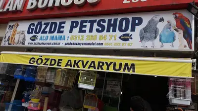Gözde Petshop