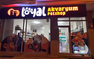 Loyal Akvaryum Petshop