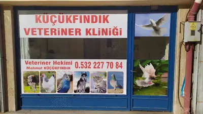 Veteriner Mehmet Arıcı