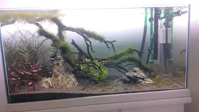 ReeFlowers - RFL Akvaryum Sistemleri Ltd.