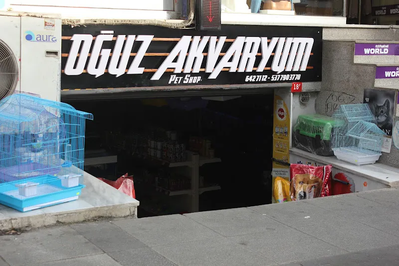 Minik Dünyalar Akvaryum & Pet Shop foto 2