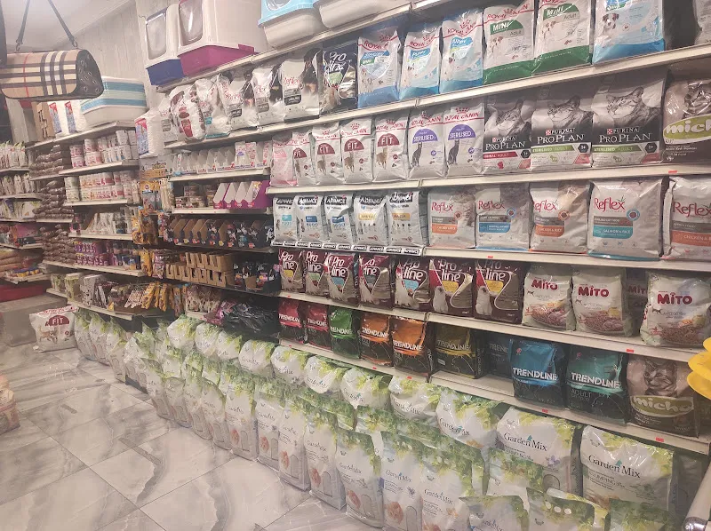 Balat petshop foto 2