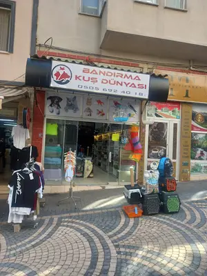 BANDIRMA KUŞ DÜNYASI
