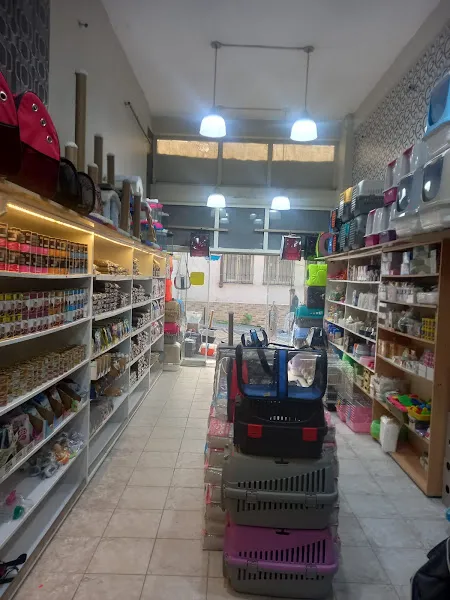 BANDIRMA KUŞ DÜNYASI foto 2