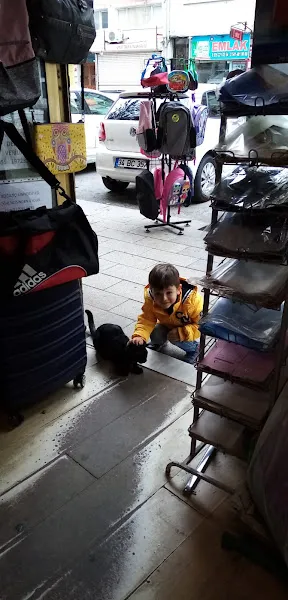Can Dostlari Pet Shop foto 1