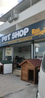 Roadrunner Petshop