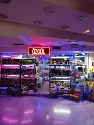Özgül Akvaryum