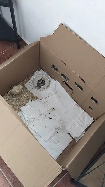 PATİPARK Veteriner Kliniği foto 2