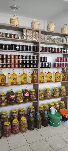 Kocataş Veteriner Kliniği foto 2