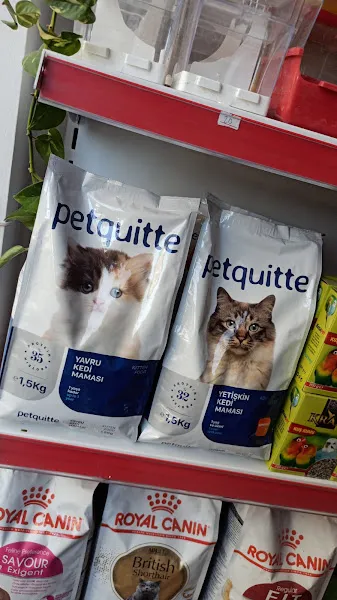 Sila Pet Shop foto 2