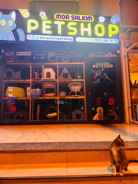 Mor Salkım Petshop foto 2