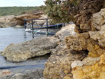 Akvaryum Koyu