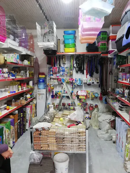 Yalçın Akvaryum foto 2