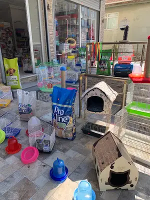 Rüzgar Petshop