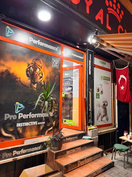 Mavi Boyali petshop foto 2