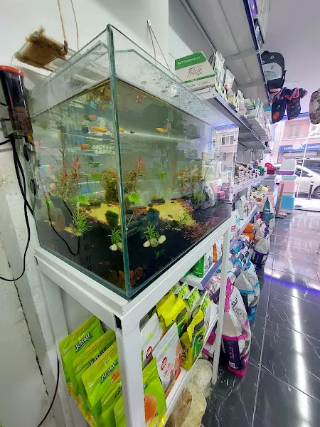 Yeşil Akvaryum & Petshop foto 2