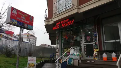 Umut Akvaryum & Kuş