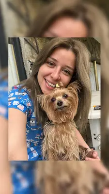 PET GROOMER DAMLA