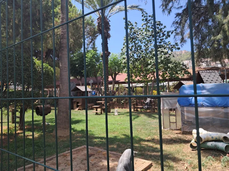 Alanya Belediyesi Kedi Parkı foto 2