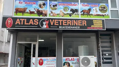ATLAS VETERİNER MUAYENEHANESİ