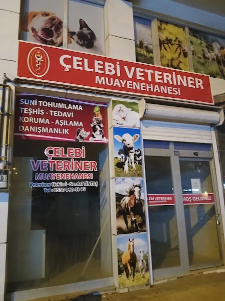 Çelebi Veteriner kliniği foto 1