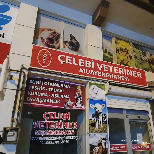 Çelebi Veteriner kliniği foto 2