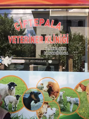 Çiftepala Veteriner Kliniği