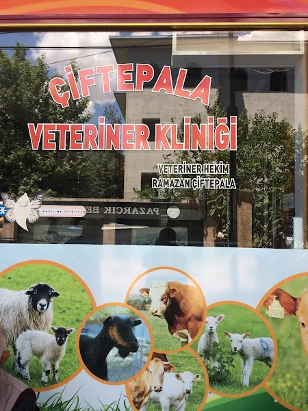 Çiftepala Veteriner Kliniği foto 1