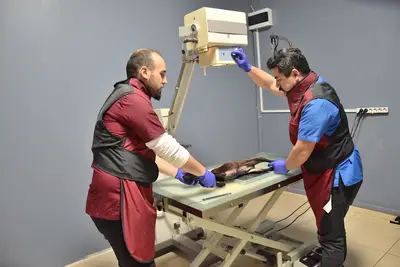 Veteriner Hekim Mehmet Yardımcı