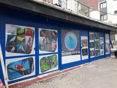 Karamürsel Kanatlı Hayvan Severler Derneği