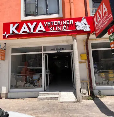 KAYA veteriner kliniği