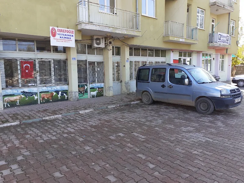 ÇİÇEK VETERİNER KLİNİĞİ foto 1