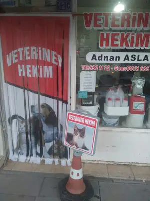 Veteriner Hekim Adnan Aslan