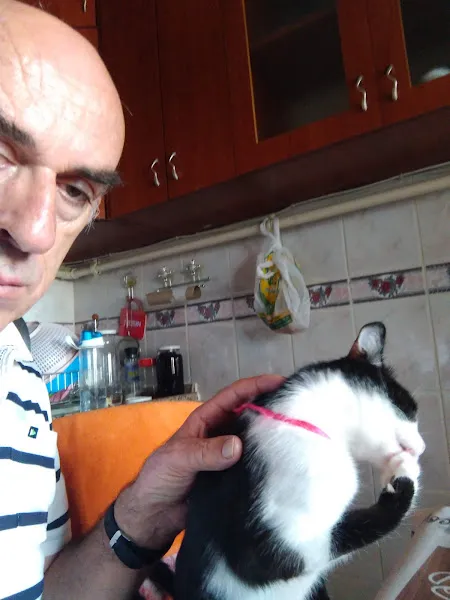 Veteriner Hekim Adnan Aslan foto 2
