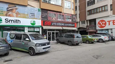 Akvaryum bitkileri