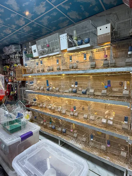 Ceren petshop foto 2